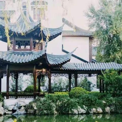 阳光照耀未来——德州阳光未来国际学校2021-2022学年度“清北班”招生简章