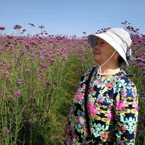 时间你慢些走！