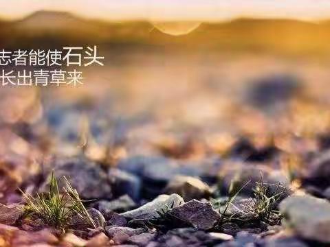 高效学习三部曲🎧🎧🎧🌸☀️北戴河新区长白学校心理活动（五）