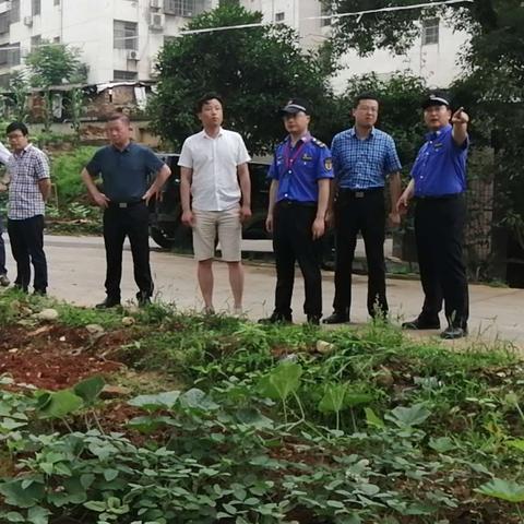 着力改善城乡结合部环境之高铁沿线菜地专项整治行动