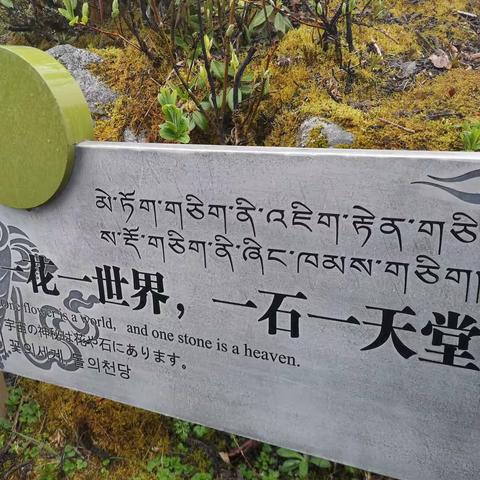 一花一世界，一石一天堂—海螺沟七日游