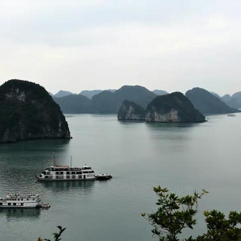 游越南沙巴～下龙湾