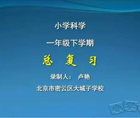 一年级科学期末复习学习资源