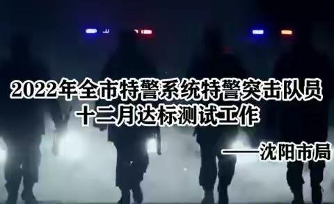 关于开展全市特警系统特警突击队员练兵科目达标测试及区域处突机动队拉动测试工作总结