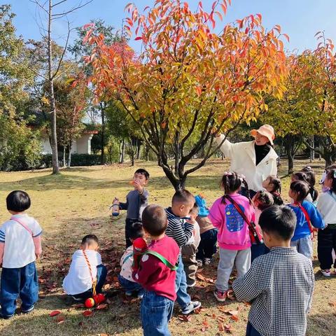 多姿多彩的秋天