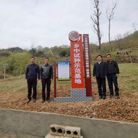 苏陕种下希望苗，协作孕育致富果——镇安县再添农业产业协作示范基地