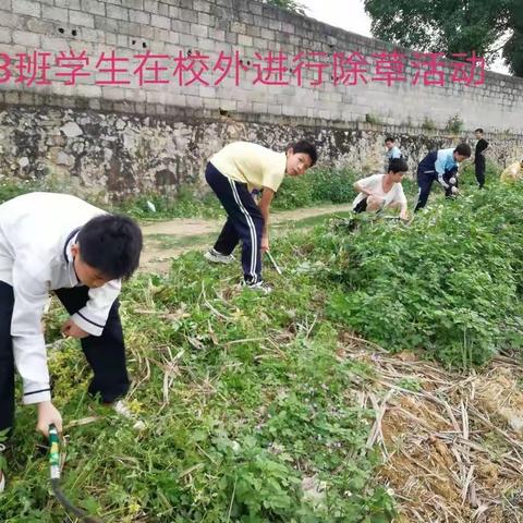 “好习惯，伴我行，助成长”——锣圩镇中心学校七年级五月种太阳活动展示