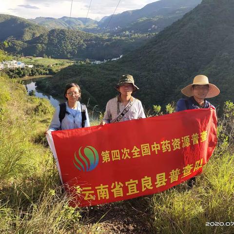 宜良县中药资源普查周报（第九周）