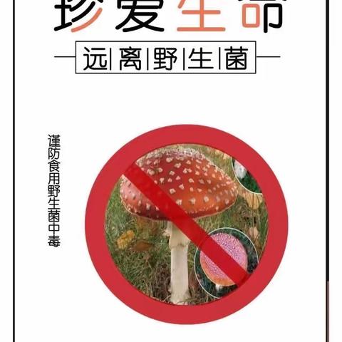 《珍爱生命、远离野生菌野果》