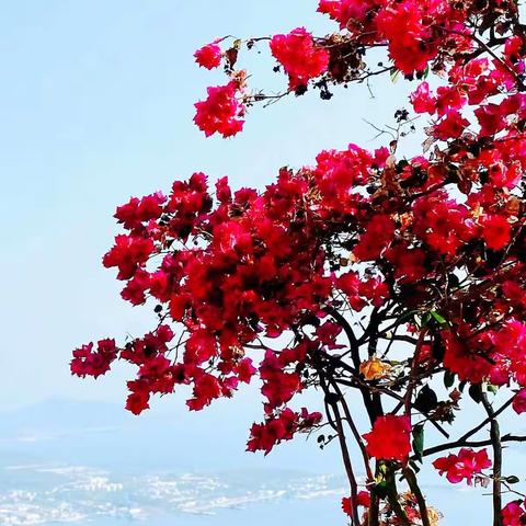 高三联考教学质量分析会——齐心同力抓质量 笃实奋进促提升