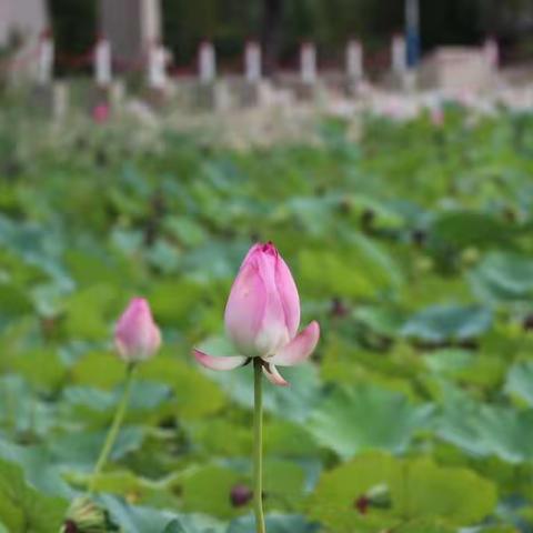 新学期，新起点，新征程，新挑战——地理组集中培训纪实