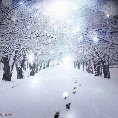 凝心聚力，全力以赴期末备考——高三地理组教研活动纪实