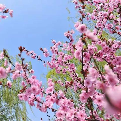 奔赴山海，保持热爱；春暖花开，笑迎开学！——龙川小学一年级开学第一天