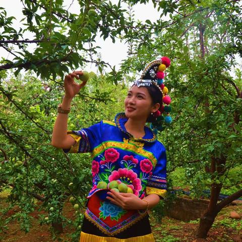 ​细雨清风桃李脆（散文诗  组章）                          赵春…（摄影  李鹏坤  起泽云）