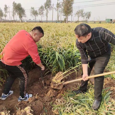 寒耕暑耘  砥砺前行  驻村工作队帮助建档立卡户干活解民优