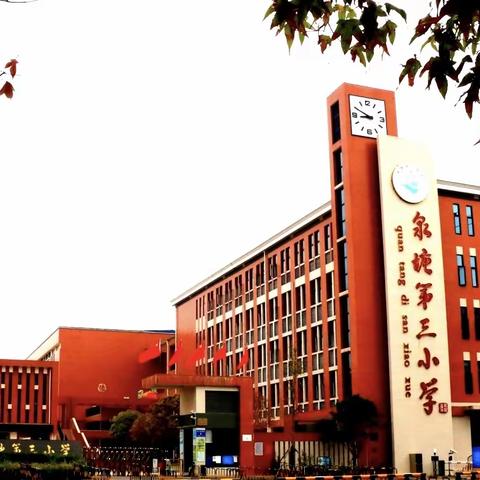 雨后春笋破土出  岁月沉香悦教研——记泉塘三小第四次青年夜校时光