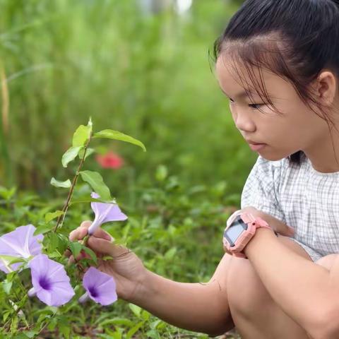 万泉河畔，母女情深