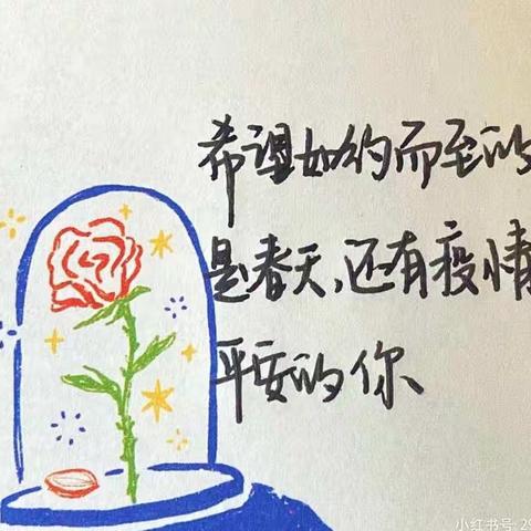 居家也要快乐哦（河南寨镇提辖庄幼儿园11月29日）