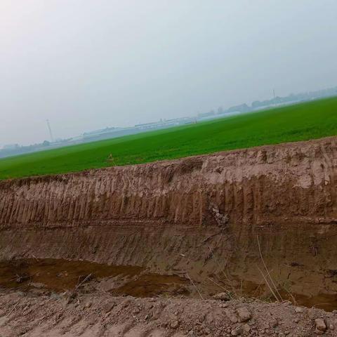 朱曲镇黄湖村开展防溺水巡逻工作