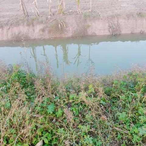 朱曲镇古庄村网格员开展防溺水巡逻工作