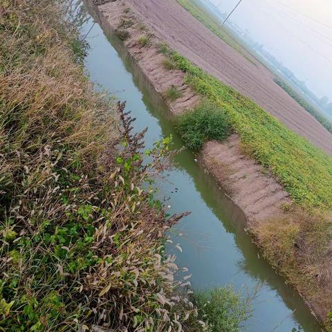 朱曲镇古庄村开展暑假防溺水巡逻工作