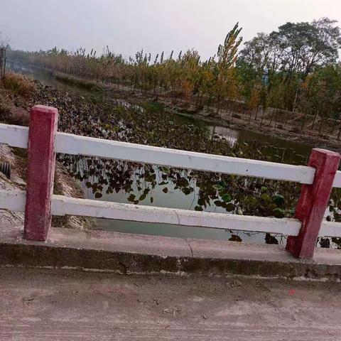 朱曲镇周寨村网格员开展防溺水巡逻工作