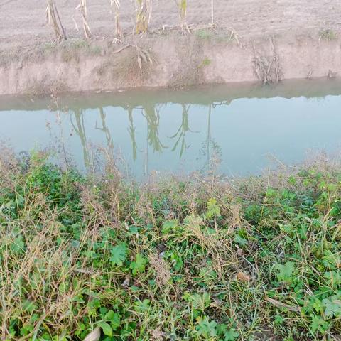 朱曲镇后赵村开展暑假防溺水巡逻工作