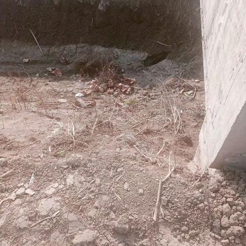 朱曲镇后赵村网格员开展防溺水巡逻工作