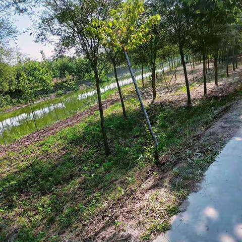 朱曲镇周寨村网格员开展防溺水巡逻工作