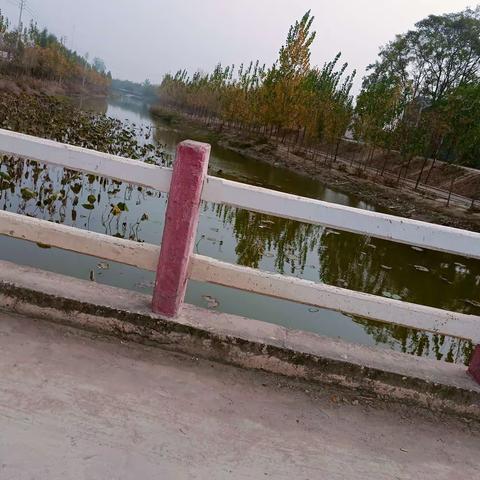 朱曲镇古庄村开展防溺水巡逻工作