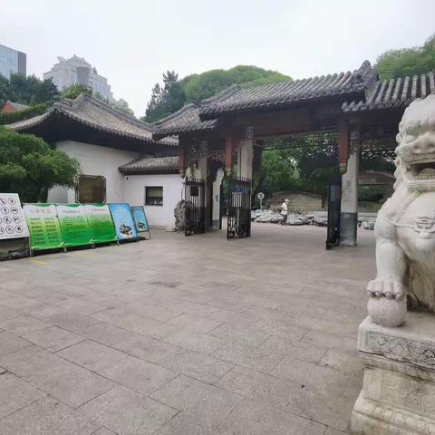 北京团结湖公园20230810