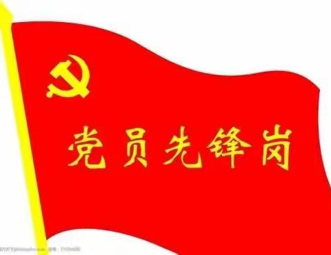 “为党旗增辉，为群众服务”——执法大队第一党支部党员先锋岗之“疫情防控”篇