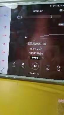 声乐歌曲学习《青玉案·元夕》——五年学前教育2002左宜凡