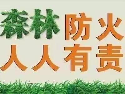 防森林火灾，守绿色家园——横峰县第四幼儿园森林防火