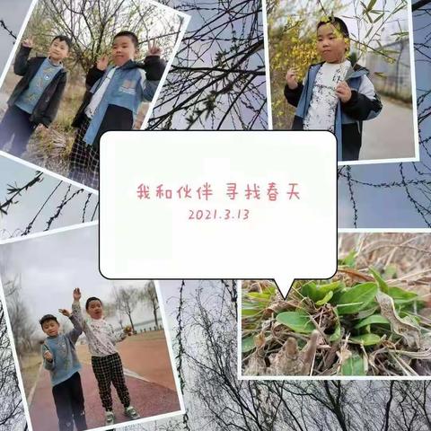春天在哪里——民族实验小学一年级“寻找春天”实践活动