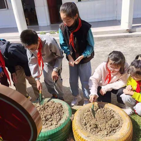 综合实践活动：花草种植