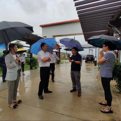 马育红书记前往崖州区国家现代农业产业园开展认定工作项目考察路线调研