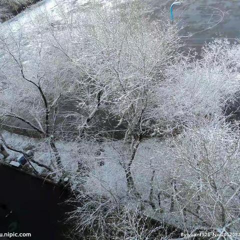 雪随思