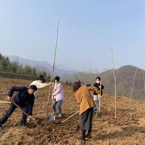 植树播绿正当时——二曲街道社区卫生服务中心开展义务植树活动