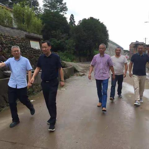 县委常委、纪委书记王昱到王宅镇检查指导抗台工作