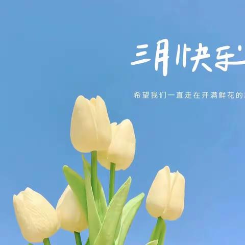 邂逅春日·遇见美好——三月活动精彩回顾