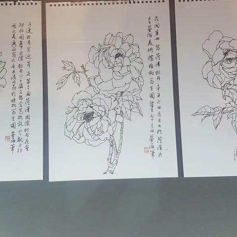 李荣海线描牡丹图