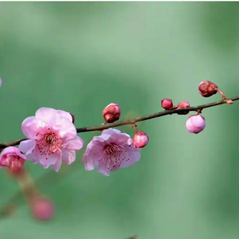 新建中学 “感恩母亲”实践活动