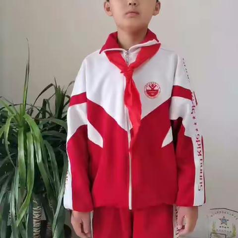 强化安全意识、学会避险自救 ------国际减灾日主题队会