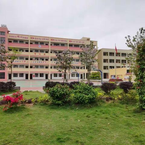 绿植进教室 春色满校园