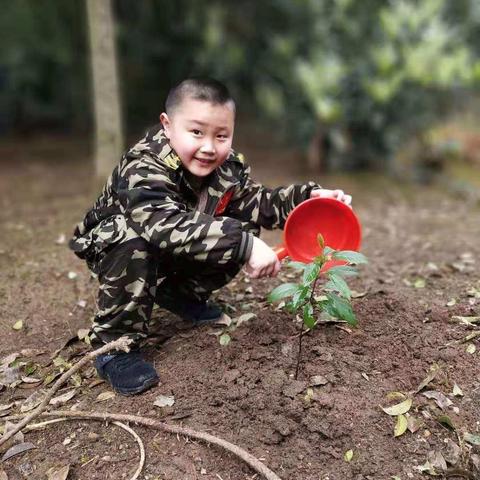 红小好少年 为祖国共添一抹绿 ---记红小二（2）班课外实践