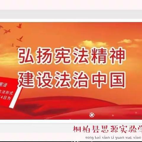 学习宪法、宣传宪法、遵守宪法、维护宪法—桐柏县思源实验学校开展“宪法宣传周”主题活动