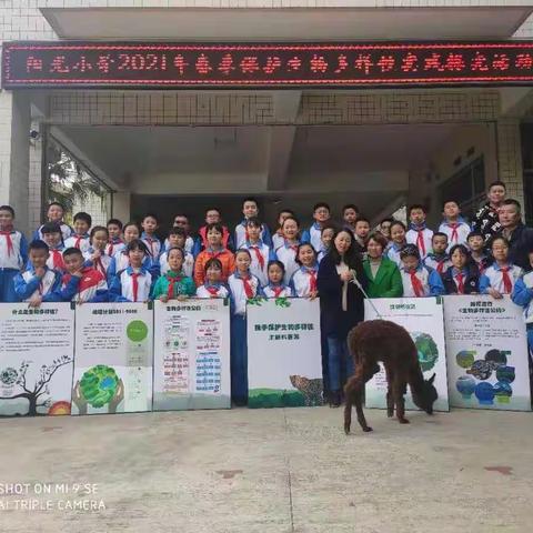 阳光小学开展“世界野生动植物日”生物多样性实践探究活动