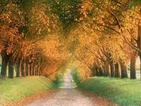 阳光教师，魅力课堂——舜德小学四年级语文教研组活动