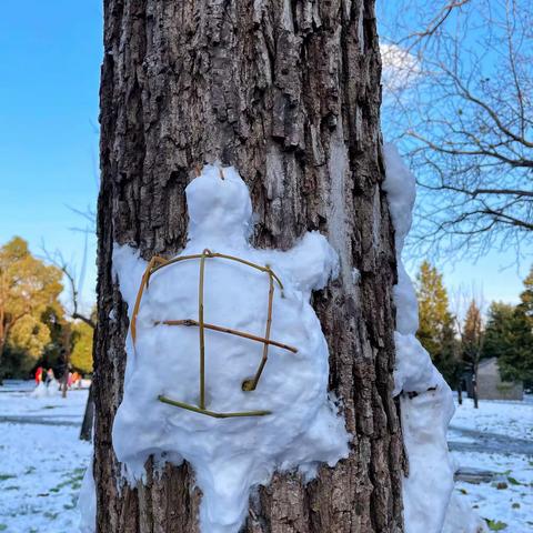 立冬日的初雪